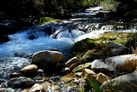 Leather Barrel Creek - NSW Snowy Mountains photo