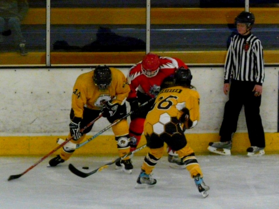 Bracknell Firebees Vs Swindon Topcats