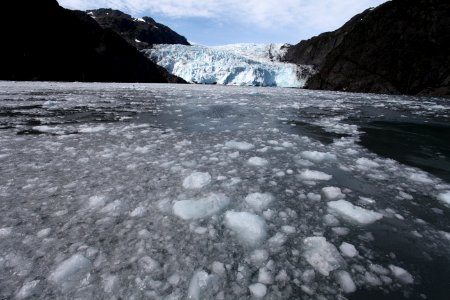 Holgate Glacier photo