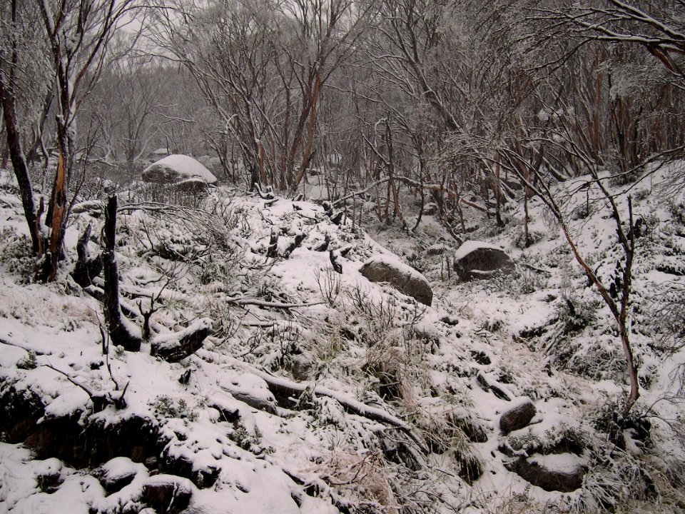 Guthega - NSW Snowy Mountains