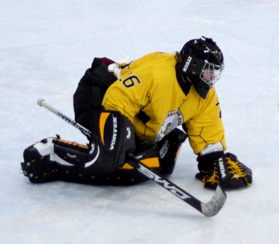 Bracknell Firebees Vs Basingstoke Bears
