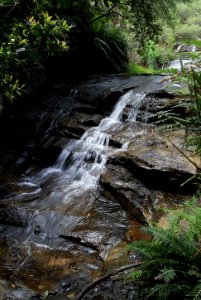 Leura Cascades - NSW Blue Mountains photo