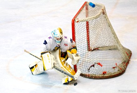 Bracknell Bees Vs Basingstoke Bison