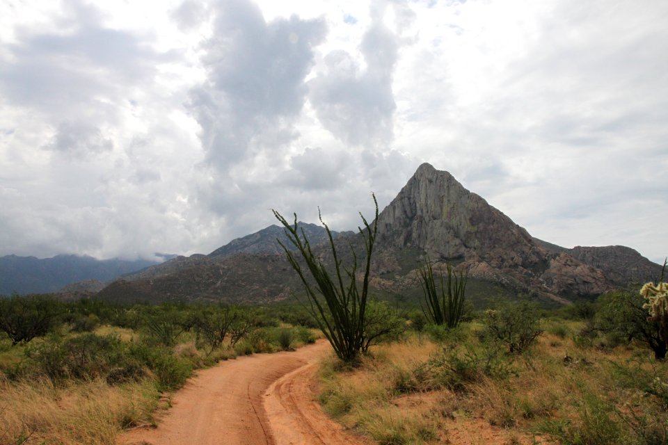 CHINO CANYON -002 (8-9-11)