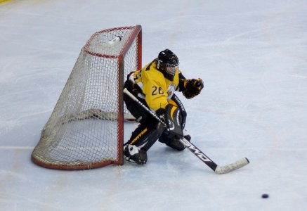 Bracknell Firebees Vs Basingstoke Bears