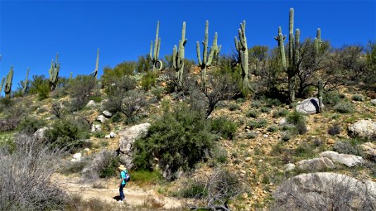 2019.03.23 Catalina State Park