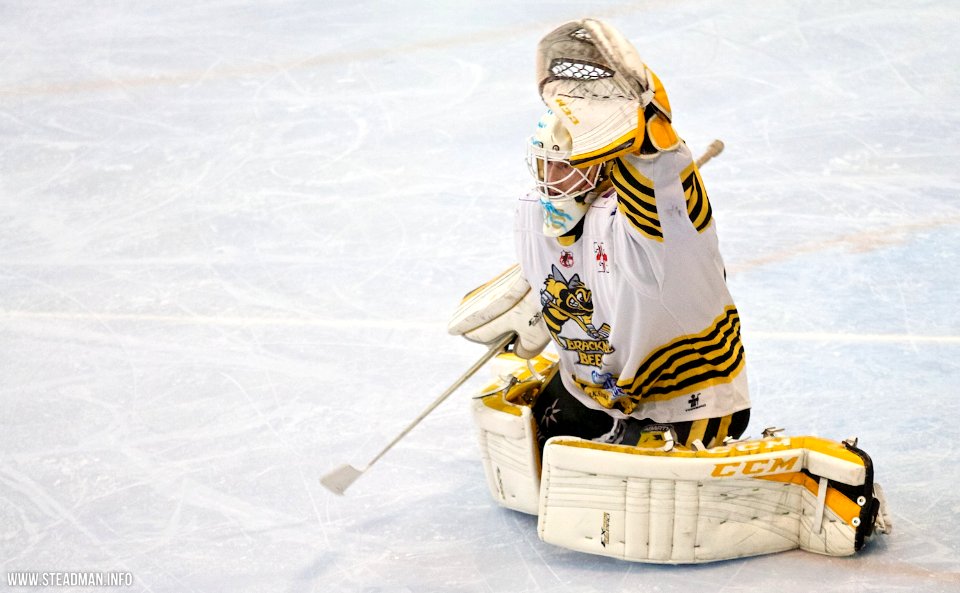 Bracknell Bees Vs Basingstoke Bison