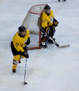 Bracknell Firebees Vs Basingstoke Bears
