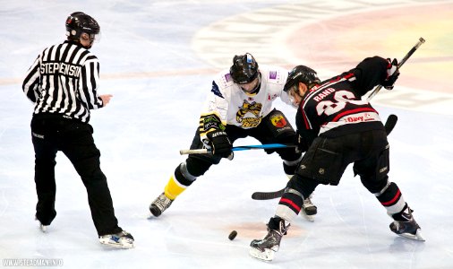 Bracknell Bees Vs Basingstoke Bison