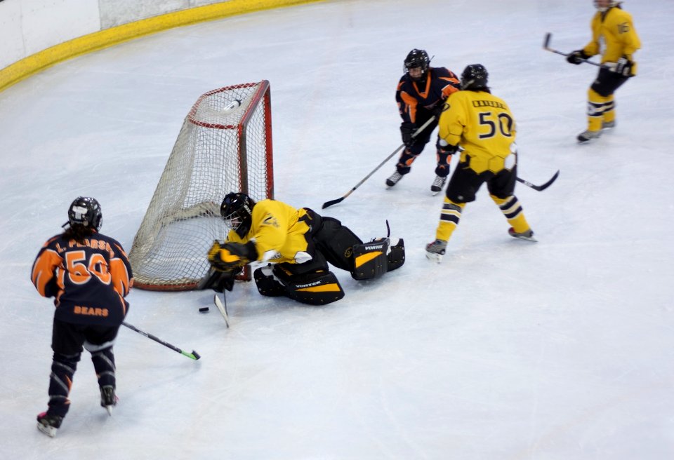 Bracknell Firebees Vs Basingstoke Bears