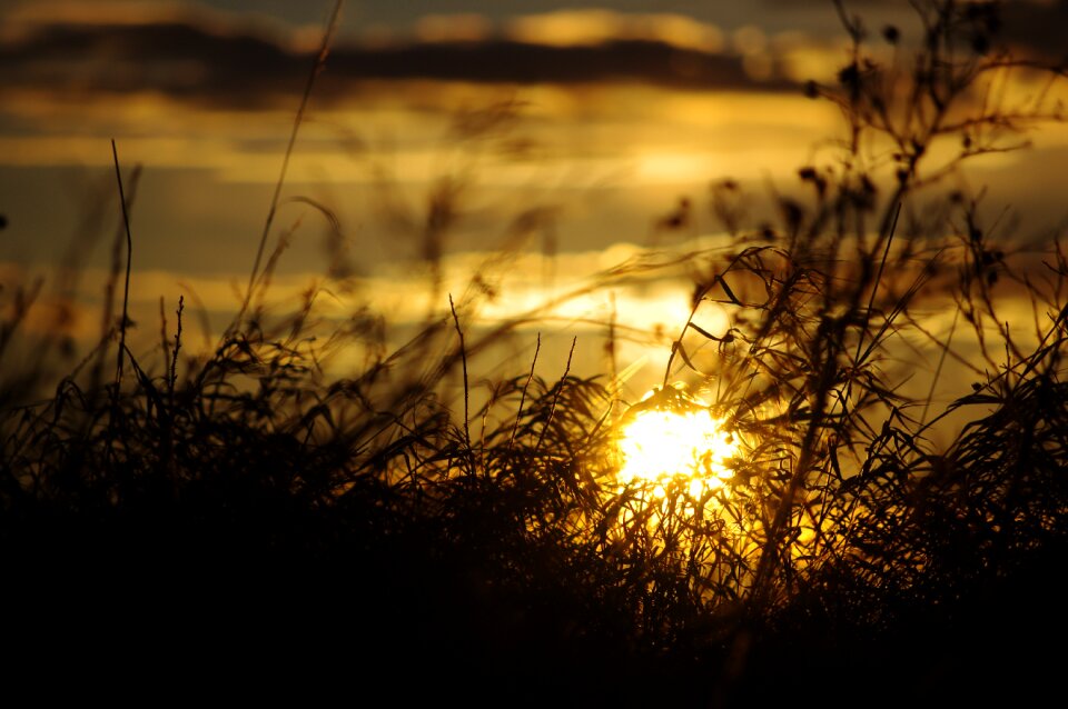 Nature sky landscape