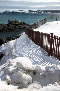 2011 - FEB 12 - 22 - NEWFOUNDLAND -077 Port de Grave (14)