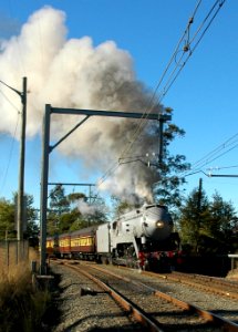 3801 - NSW Blue Mountains