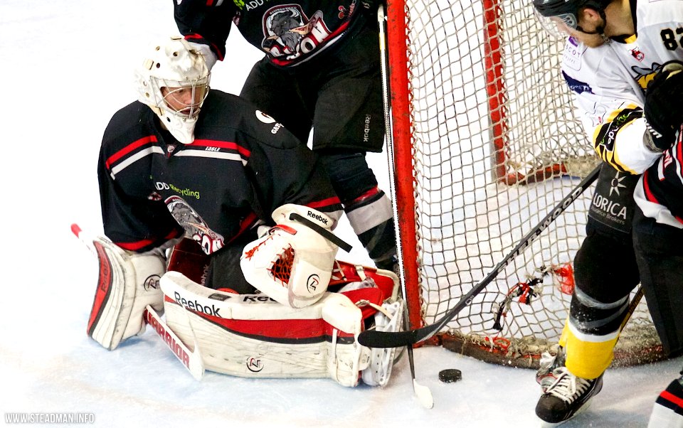 Bracknell Bees Vs Basingstoke Bison