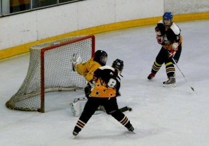 Firebees Vs Chelmsford