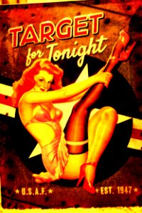 My New Tin Pin Up Sign.