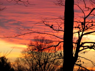 Sunset 151