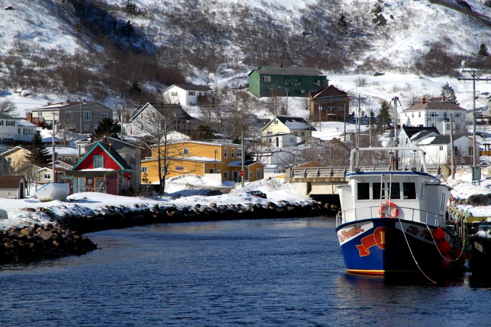 2011 - FEB 12 - 22 - NEWFOUNDLAND -058 Petty Harbour  (18)