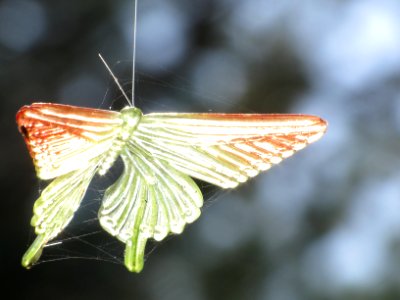 1 March 2012 299