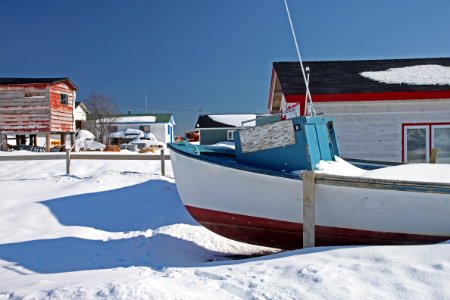2011 - FEB 12 - 22 - NEWFOUNDLAND -058 Petty Harbour  (16)