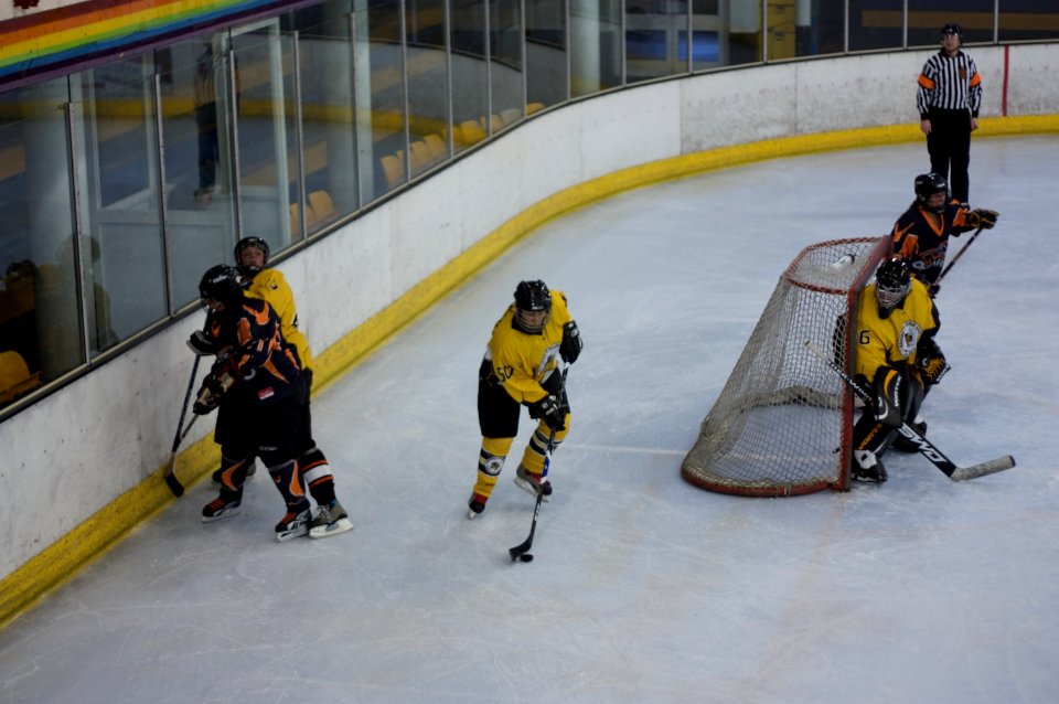 Bracknell Firebees Vs Basingstoke Bears