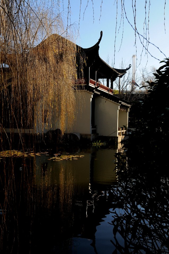 Chinese garden - Sydney NSW