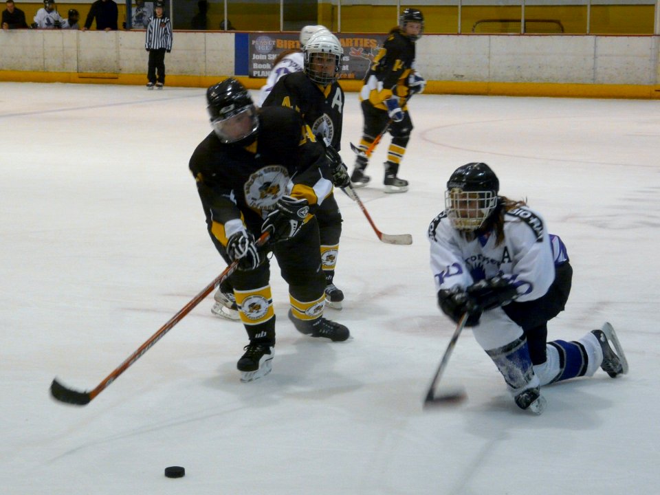 Bracknell Firebees Vs Milton Keynes Falcons