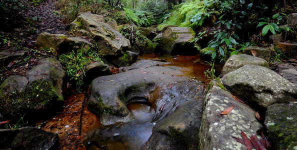 Blaxland - NSW Blue Mountains