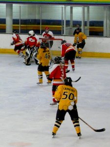 Firebees Vs Streatham