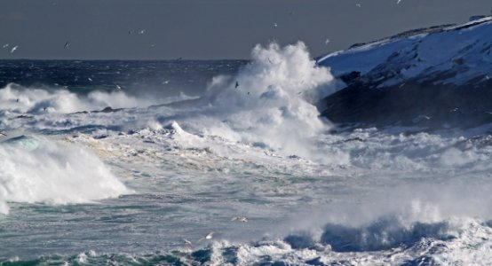 2011 - FEB 12 - 22 - NEWFOUNDLAND -059 Cape Spear after the storm  (30h)