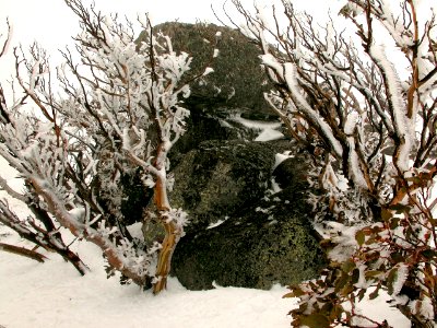 Mount Blue Cow - NSW Snowy Mountains