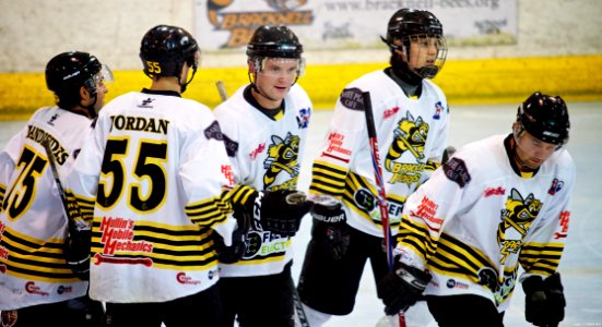 Best of 2013/14 Season: EPL and NIHL