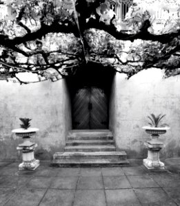 Courtyard Door - Tanunda SA