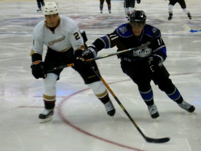 Ducks Vs Kings - 03