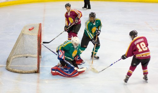 Maple Leafs Vs Canadiens