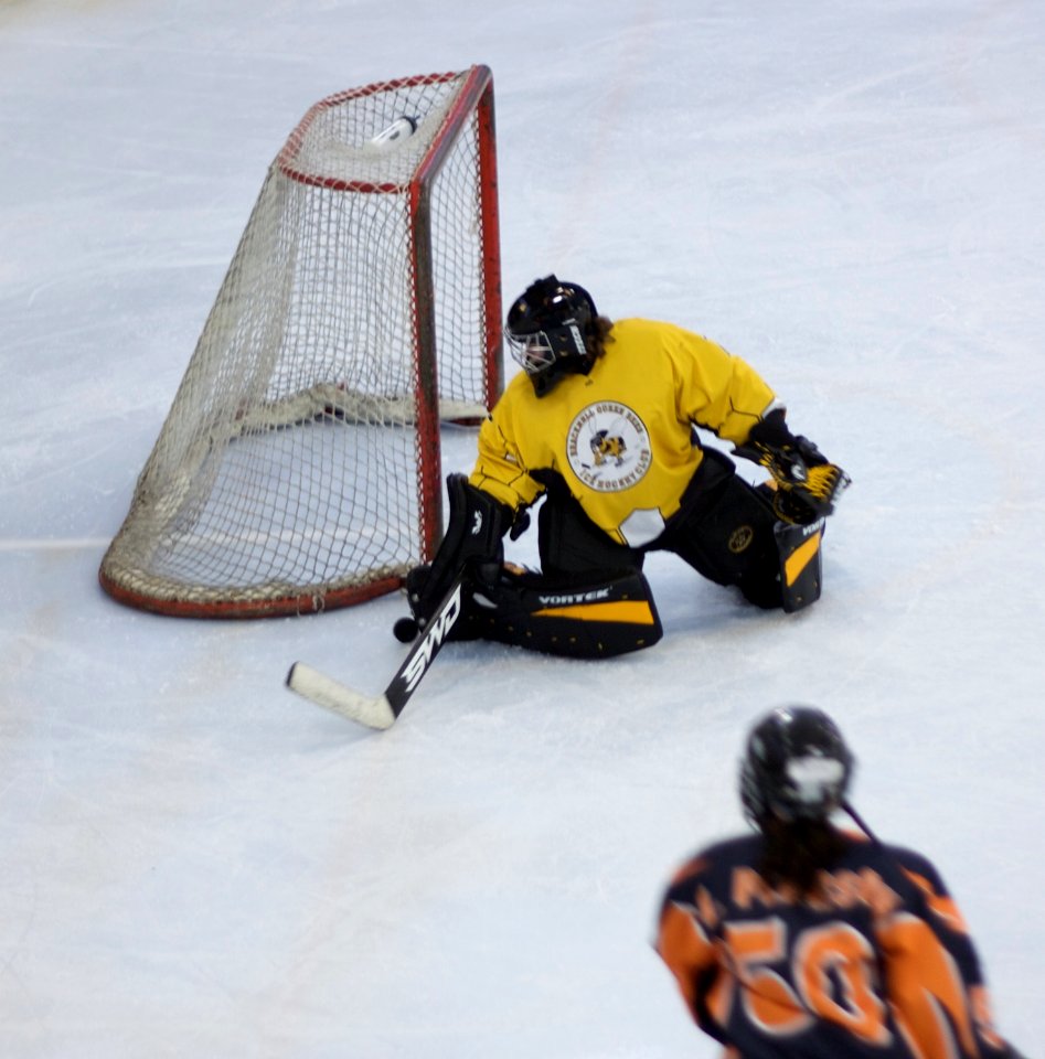 Bracknell Firebees Vs Basingstoke Bears