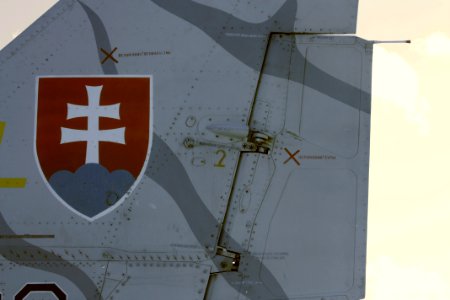 Slovak Mig-29