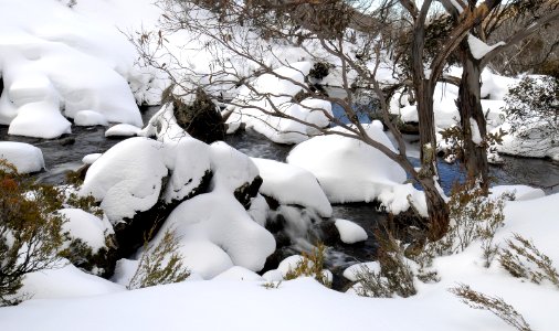 Thredbo River - NSW Snowy Mountains photo