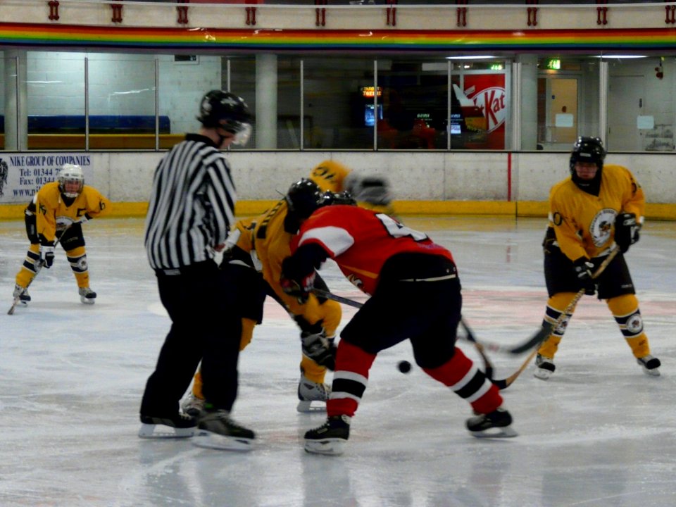 Firebees Vs Basingstoke Bison Ladies