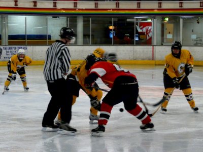 Firebees Vs Basingstoke Bison Ladies