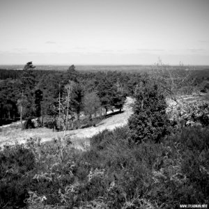 South Farnborough Landscape