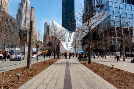 The Oculus WTC path station