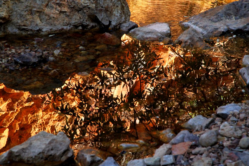 HUMBOLDT CANYON, Patagonia Hills, scc, az (10-30-10) - 21-