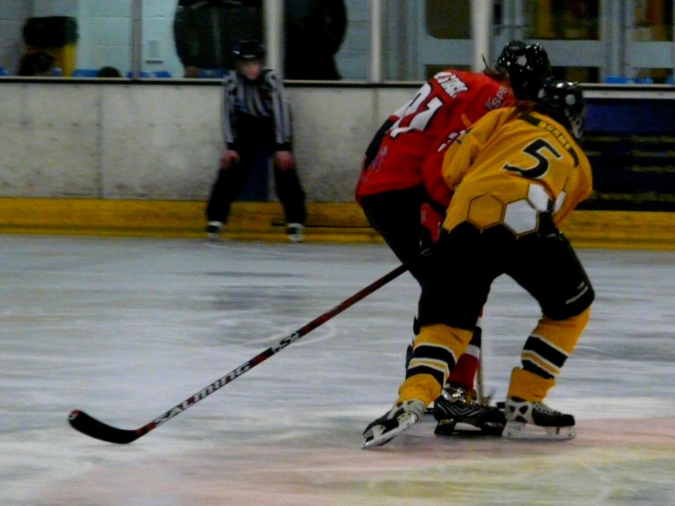 Firebees Vs Basingstoke Bison Ladies