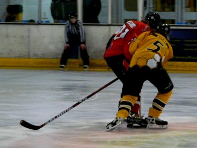 Firebees Vs Basingstoke Bison Ladies