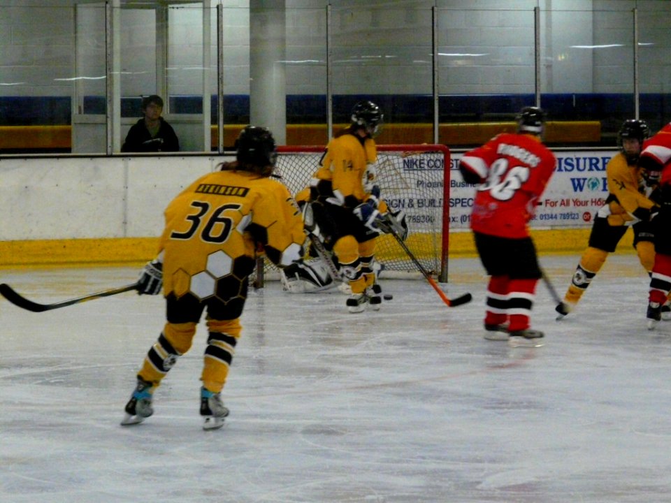 Firebees Vs Basingstoke Bison Ladies