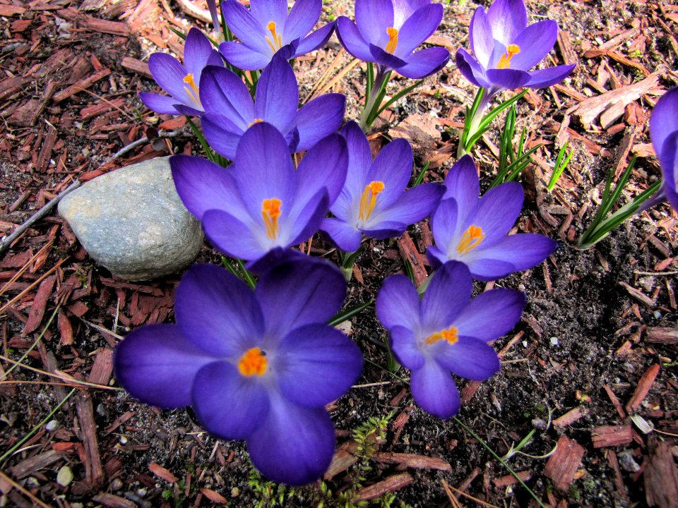 1 March 2012 119