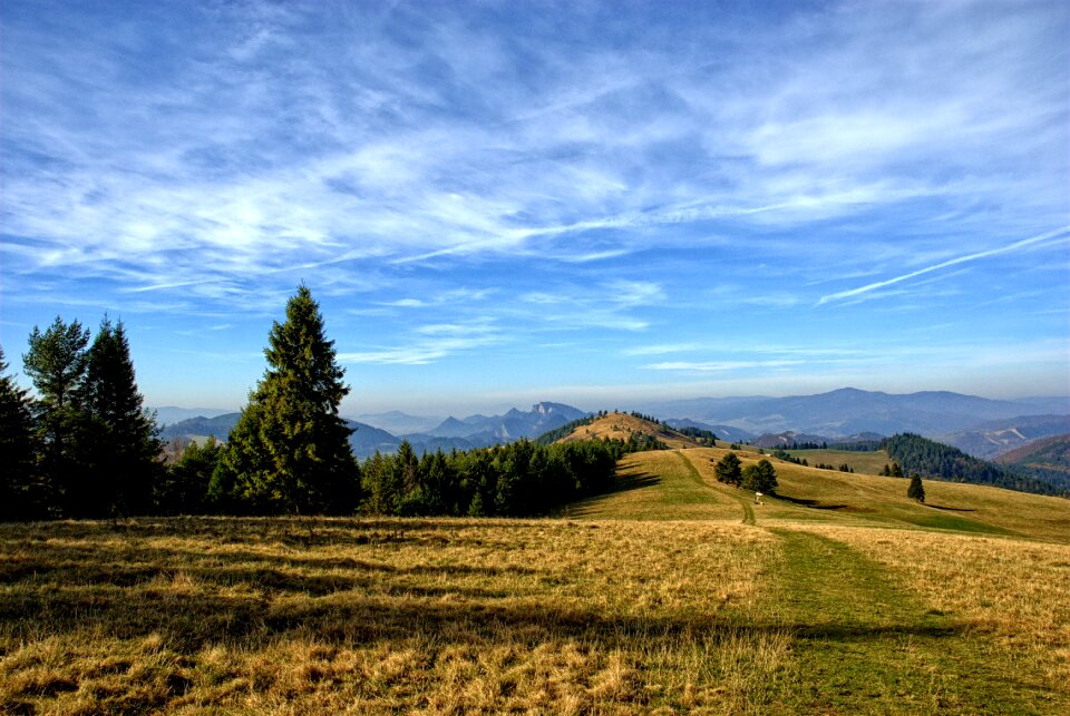 Durbaszka autumn poland