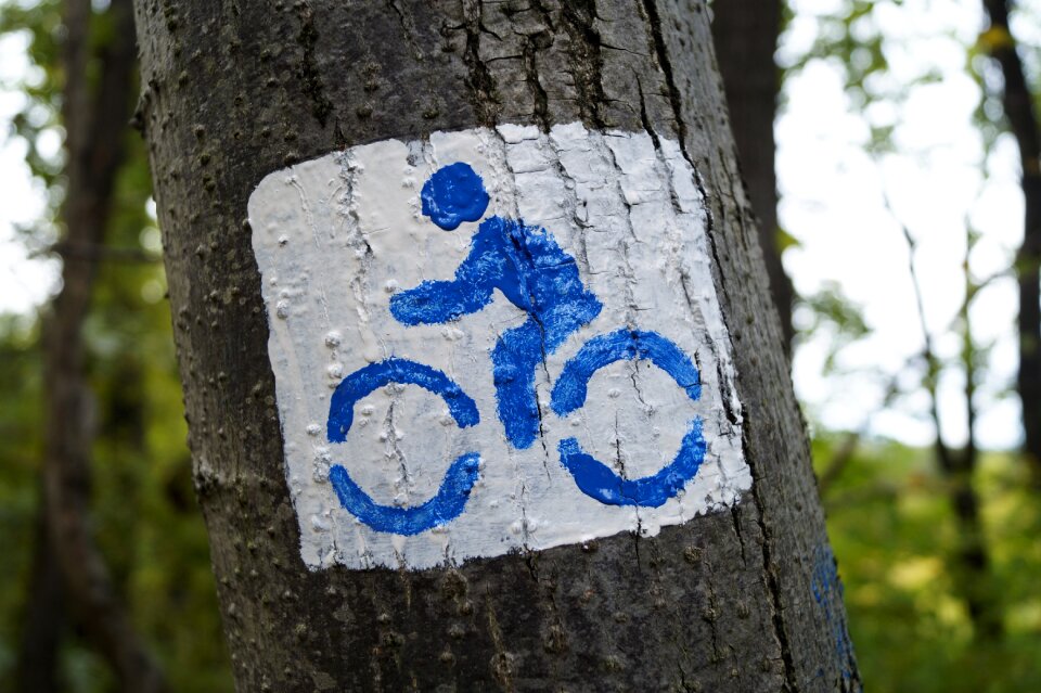 Hiking trail forest forest bike path