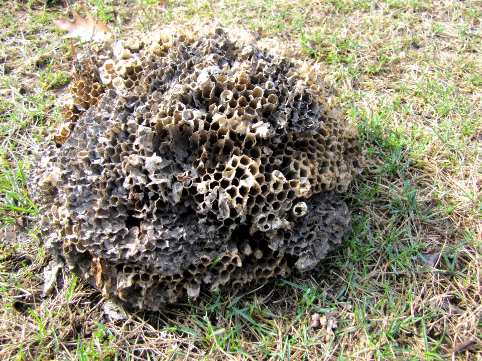 1 March 2012 037